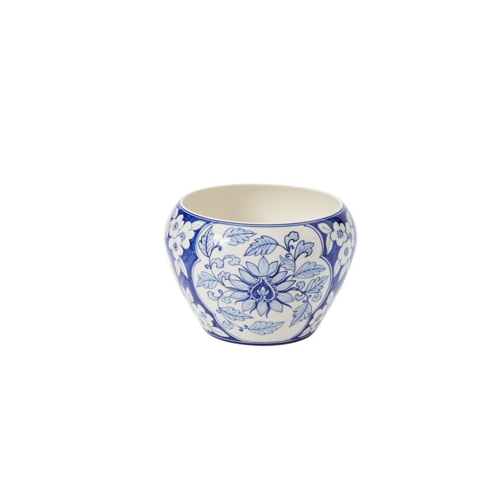 Blue Elodie Collection