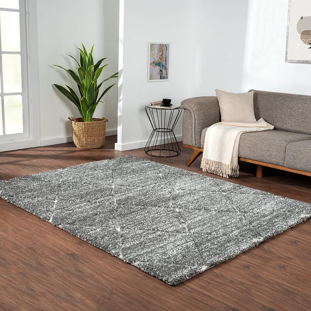 Talas Trellis Shag Area Rug in Grey and Cream