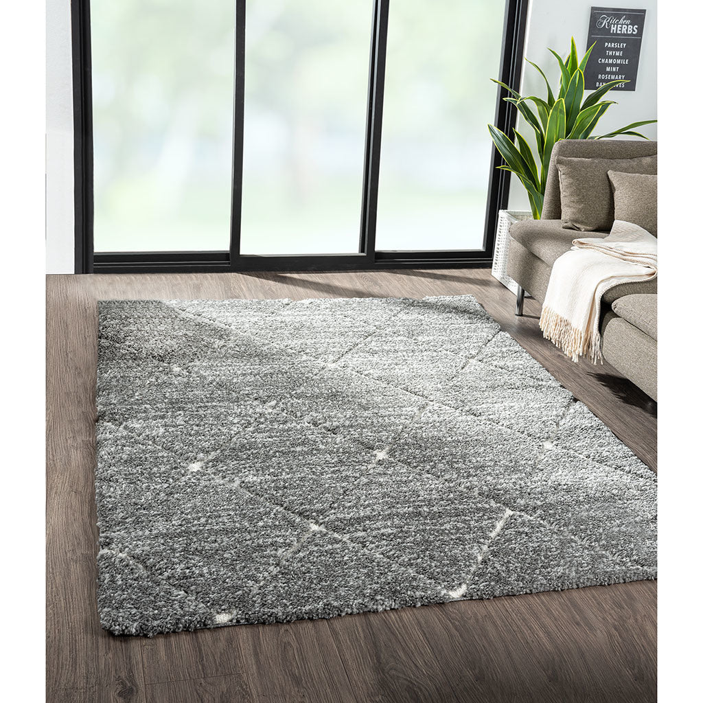 Talas Trellis Shag Area Rug in Grey and Cream