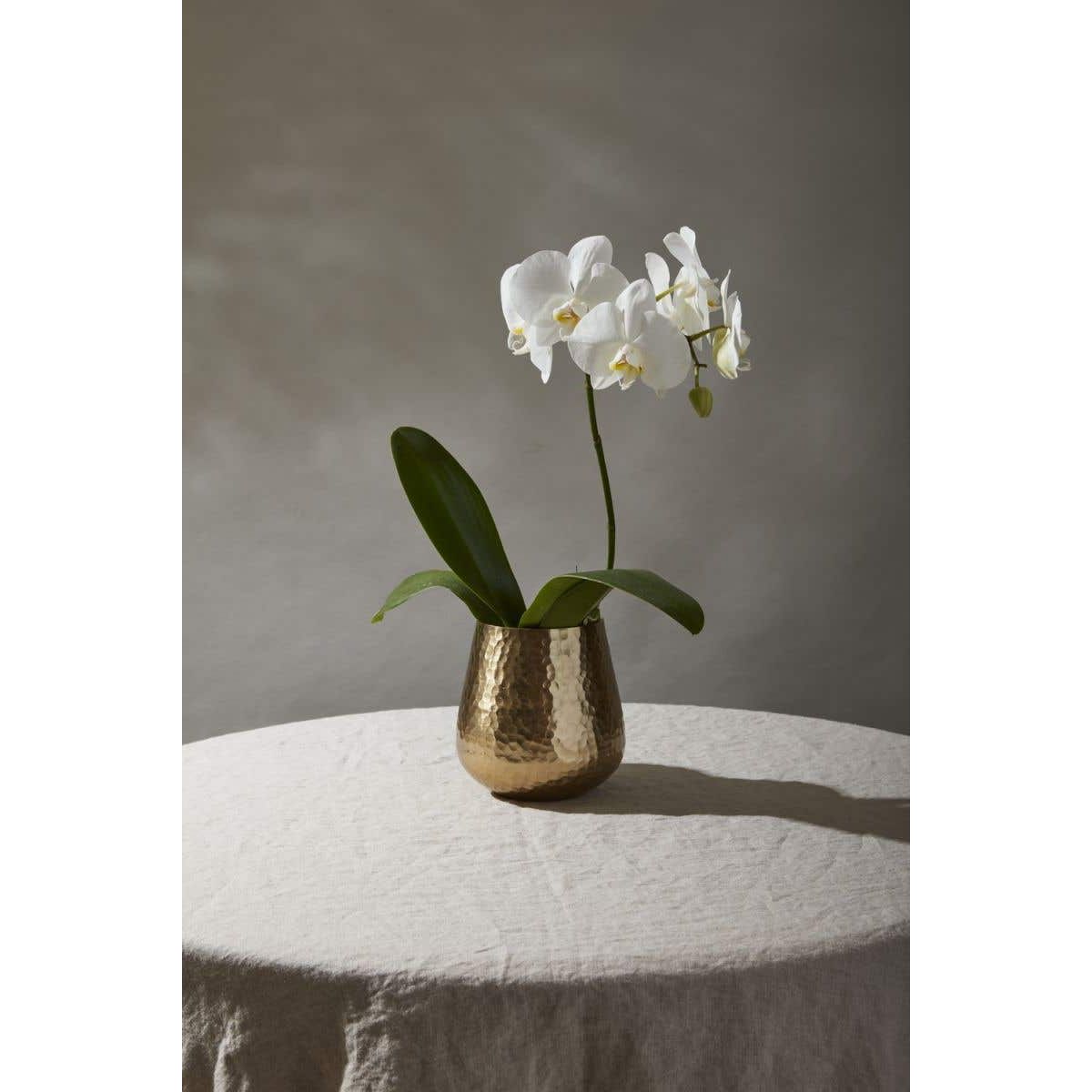 Hux Pot